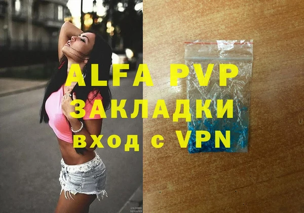 индика Горняк
