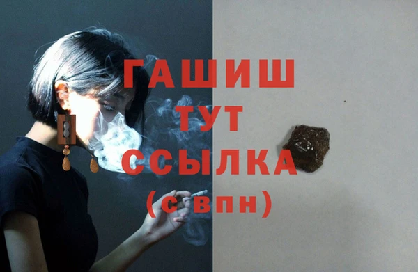 индика Горняк