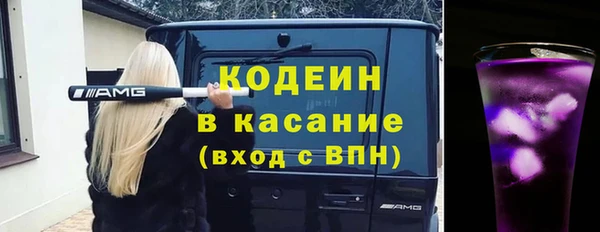 индика Горняк
