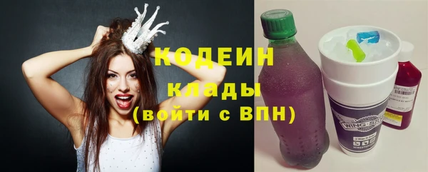 индика Горняк