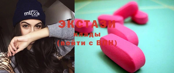 индика Горняк