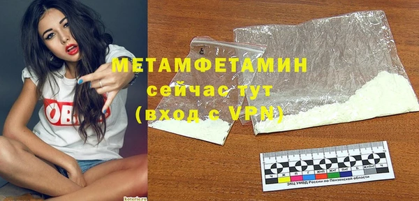 индика Горняк