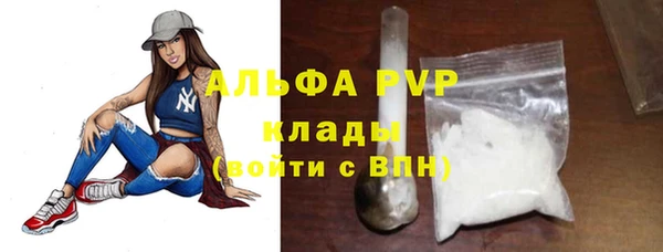 индика Горняк