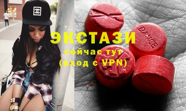 индика Вяземский