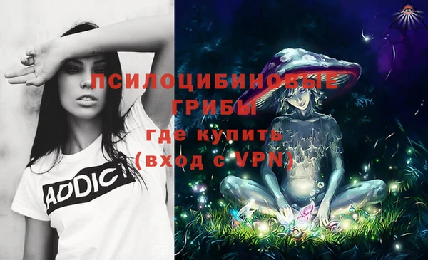 амфетамин Горнозаводск