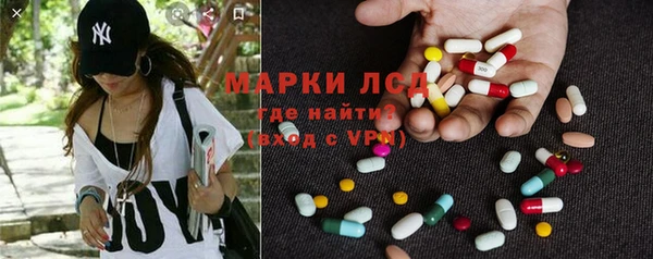 индика Горняк
