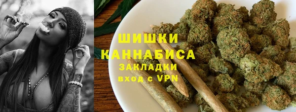 индика Горняк