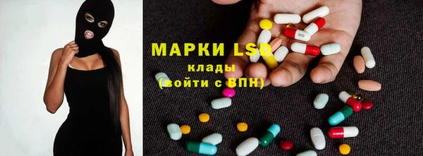 индика Горняк