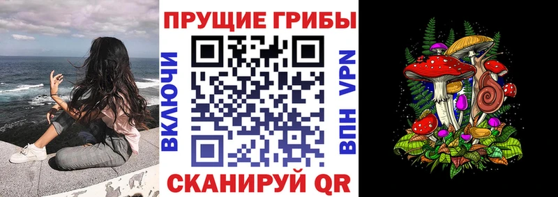 даркнет сайт  kraken зеркало  Псилоцибиновые грибы MAGIC MUSHROOMS  Дзержинск 