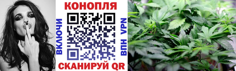 что такое Дзержинск Конопля OG Kush